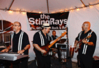 the StingRays: Rock & Roll